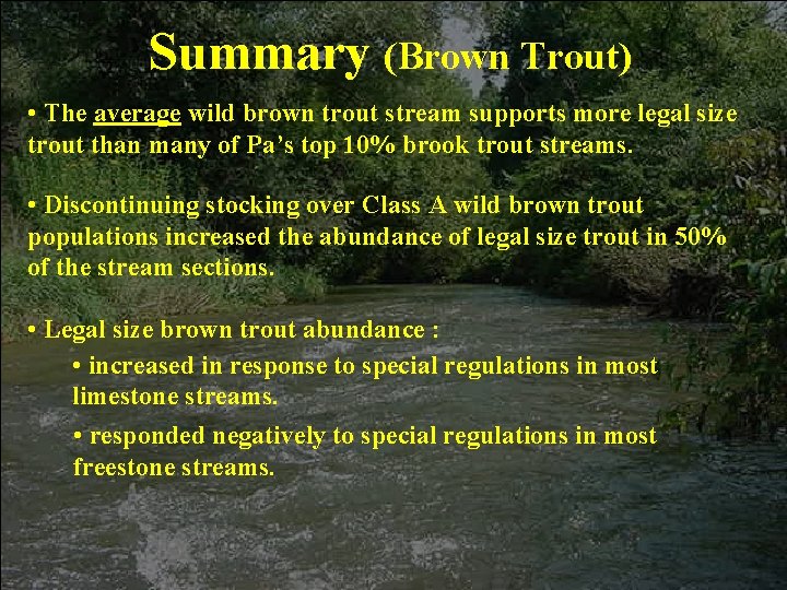 Summary (Brown Trout) • The average wild brown trout stream supports more legal size