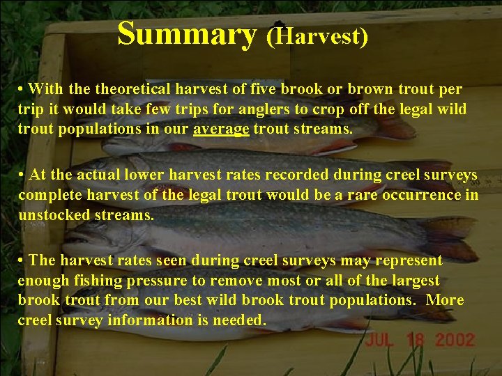 Summary (Harvest) Summary • With theoretical harvest of five brook or brown trout per