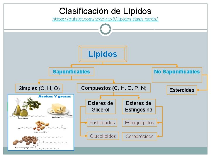 Clasificación de Lípidos https: //quizlet. com/27254138/lipidos-flash-cards/ Lípidos Saponificables Simples (C, H, O) Ceras Triacilgliceroles