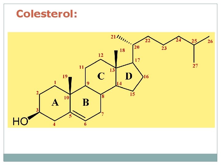 Colesterol: 