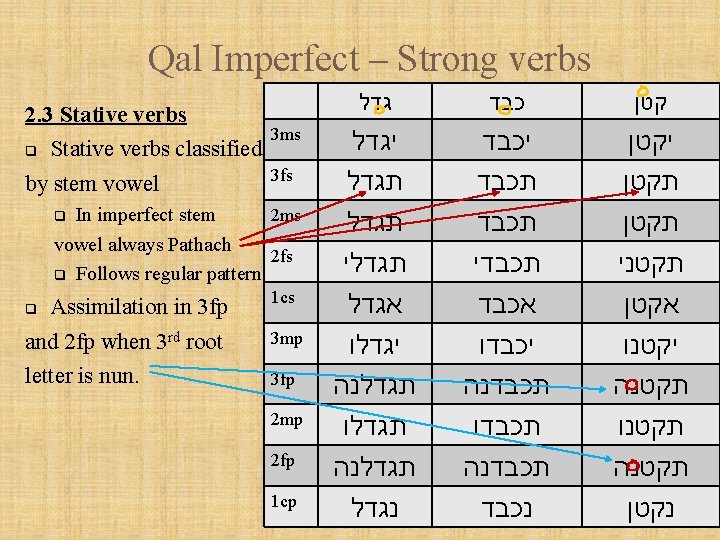 Qal Imperfect – Strong verbs 2. 3 Stative verbs q Stative verbs classified by