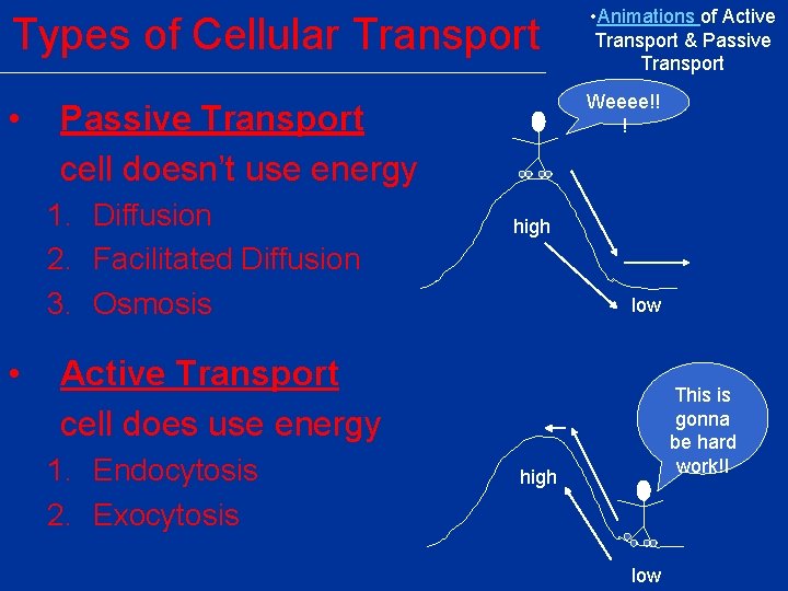 Types of Cellular Transport • Animations of Active Transport & Passive Transport • Weeee!!