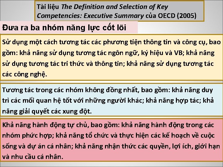 Tài liệu The Definition and Selection of Key Competencies: Executive Summary của OECD (2005)