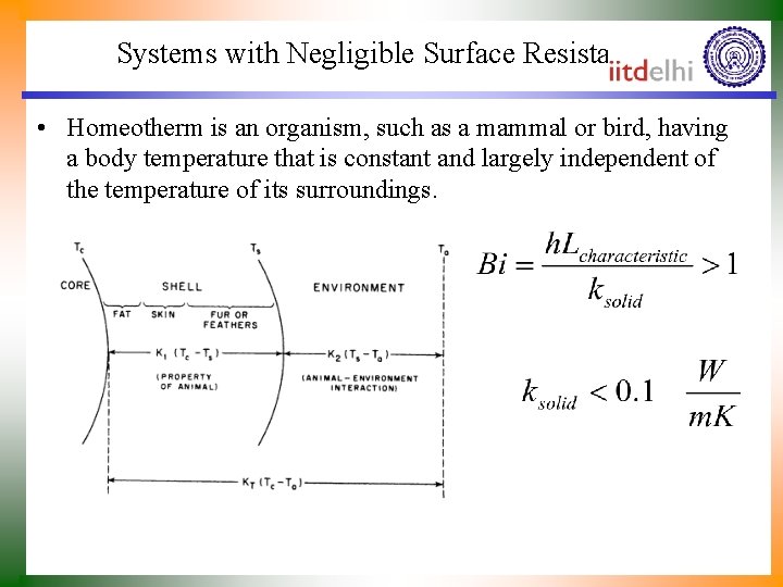 Systems with Negligible Surface Resistance • Homeotherm is an organism, such as a mammal