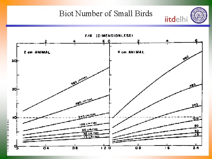 Biot Number of Small Birds 