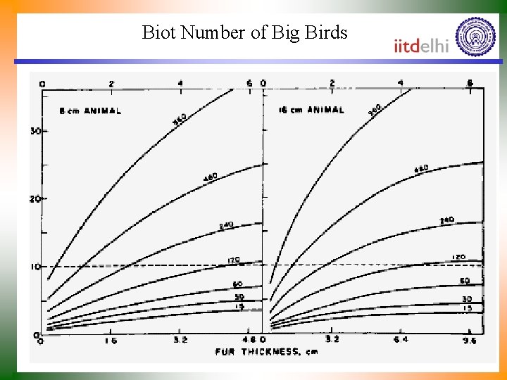 Biot Number of Big Birds 