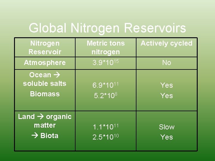 Global Nitrogen Reservoirs Nitrogen Reservoir Metric tons nitrogen Actively cycled Atmosphere 3. 9*1015 No Global Nitrogen Reservoirs Nitrogen Reservoir Metric tons nitrogen Actively cycled Atmosphere 3. 9*1015 No