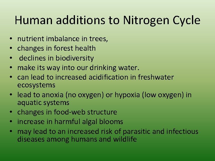 Human additions to Nitrogen Cycle • • • nutrient imbalance in trees, changes in Human additions to Nitrogen Cycle • • • nutrient imbalance in trees, changes in