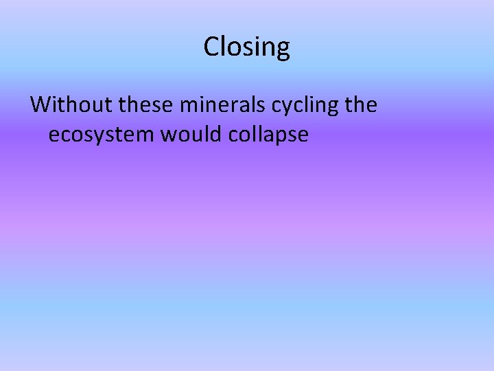 Closing Without these minerals cycling the ecosystem would collapse  Closing Without these minerals cycling the ecosystem would collapse