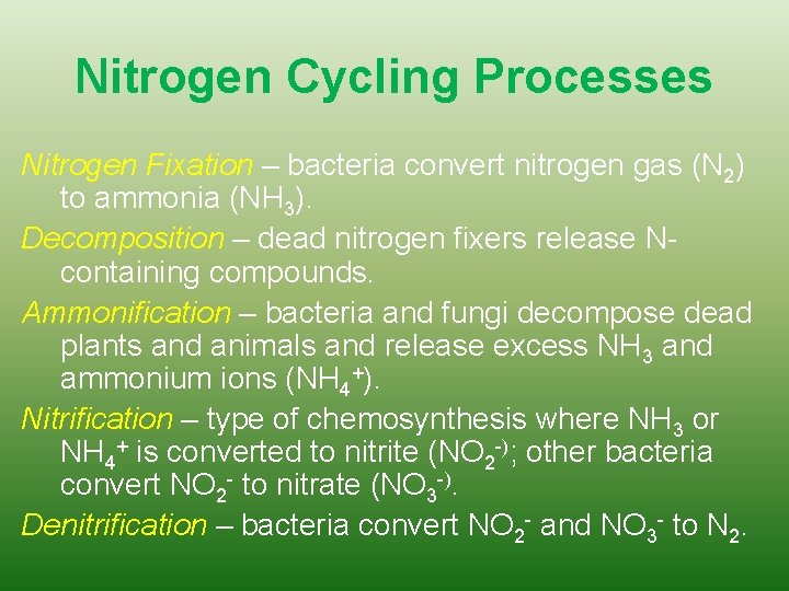 Nitrogen Cycling Processes Nitrogen Fixation – bacteria convert nitrogen gas (N 2) to ammonia Nitrogen Cycling Processes Nitrogen Fixation – bacteria convert nitrogen gas (N 2) to ammonia