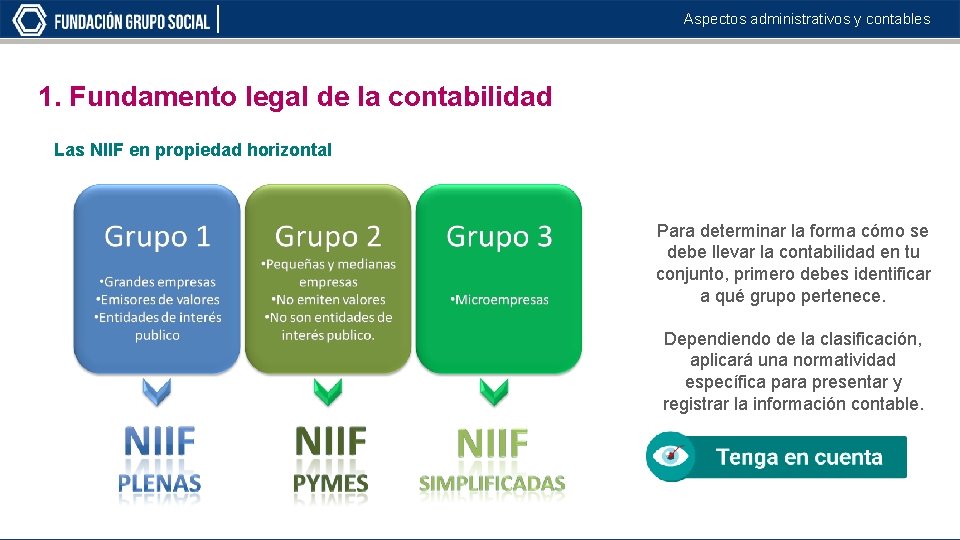 Aspectos administrativos y contables 1. Fundamento legal de la contabilidad Las NIIF en propiedad