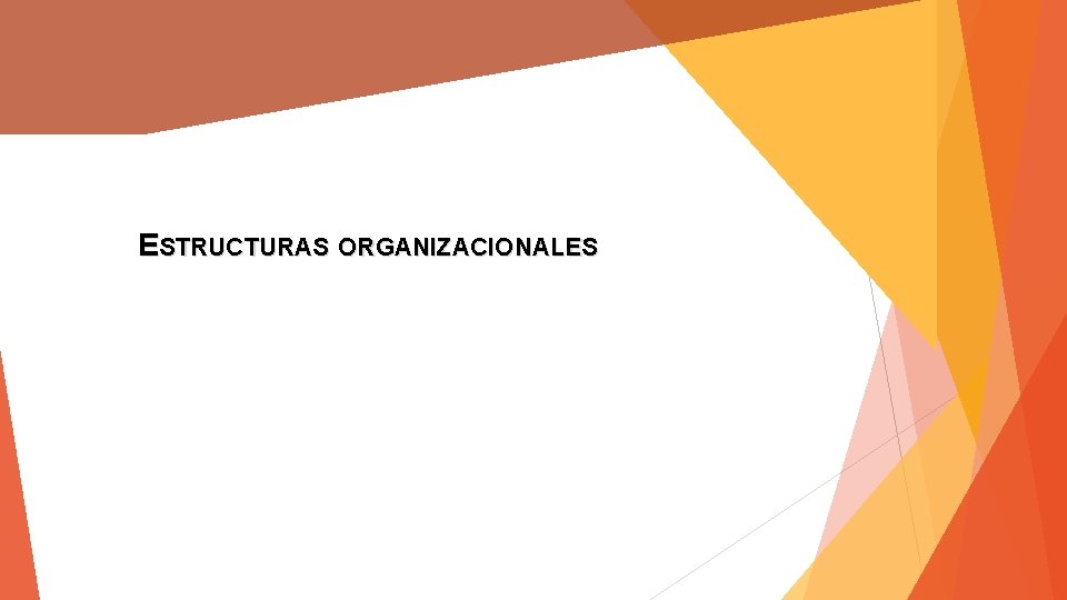 ESTRUCTURAS ORGANIZACIONALES 