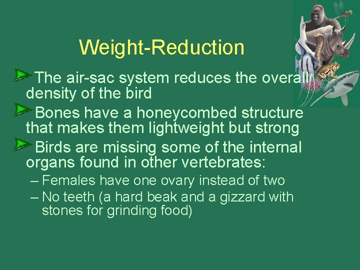 Weight-Reduction The air-sac system reduces the overall density of the bird Bones have a
