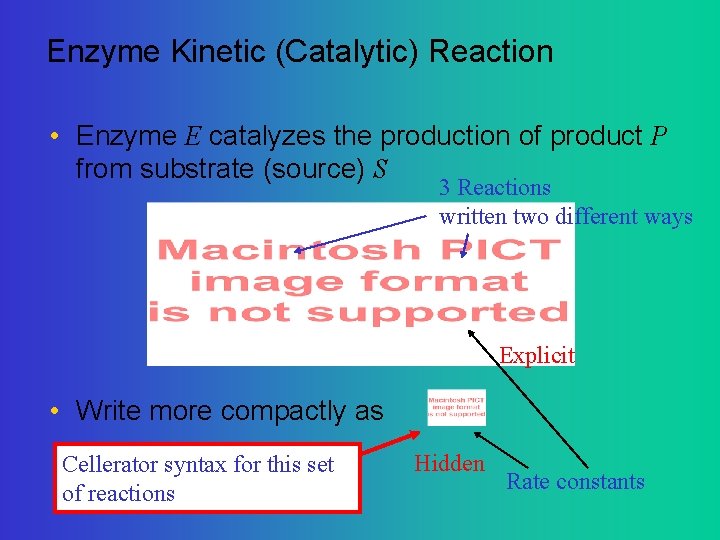 Enzyme Kinetic (Catalytic) Reaction • Enzyme E catalyzes the production of product P from