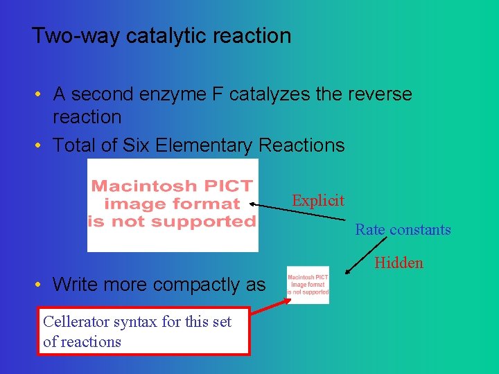 Two-way catalytic reaction • A second enzyme F catalyzes the reverse reaction • Total