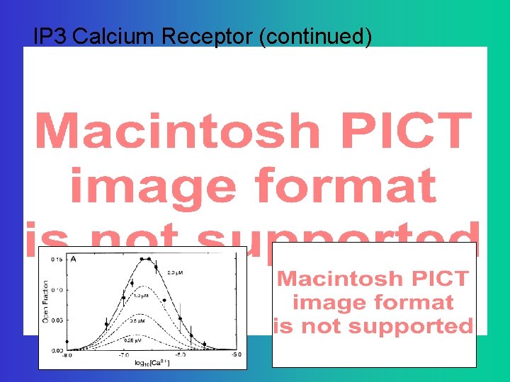 IP 3 Calcium Receptor (continued) 