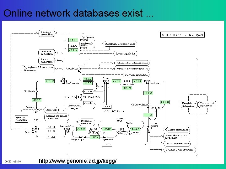 Online network databases exist. . . http: //www. genome. ad. jp/kegg/ 