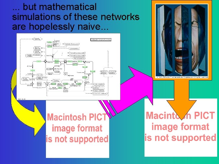 . . . but mathematical simulations of these networks are hopelessly naive. . .