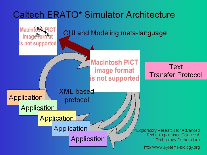 Caltech ERATO* Simulator Architecture A C B GUI and Modeling meta-language Text Transfer Protocol