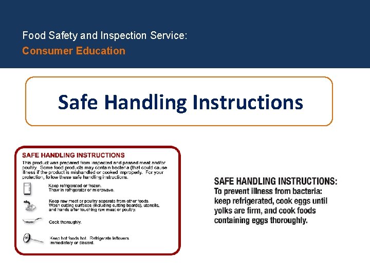 Food Safety and Inspection Service: Consumer Education Safe Handling Instructions 