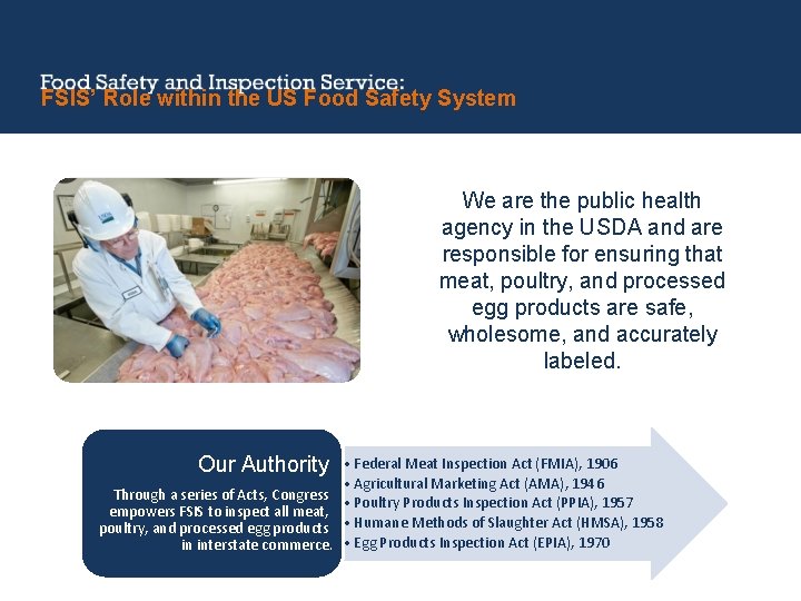FSIS’ Role within the US Food Safety System We are the public health agency