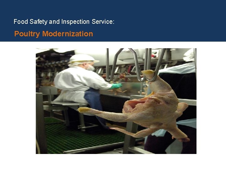 Food Safety and Inspection Service: Poultry Modernization 