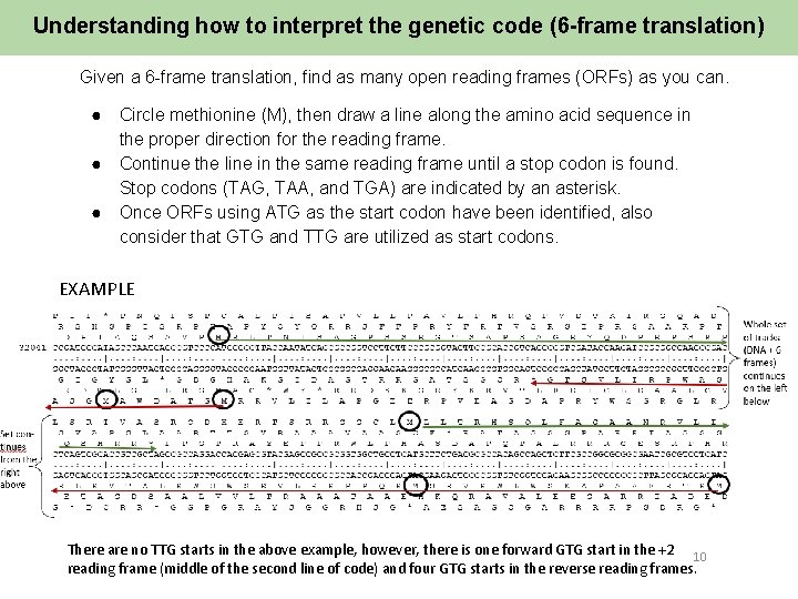 Understanding how to interpret the genetic code (6 -frame translation) Given a 6 -frame