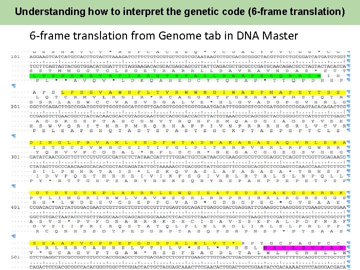 Understanding how to interpret the genetic code (6 -frame translation) 6 -frame translation from