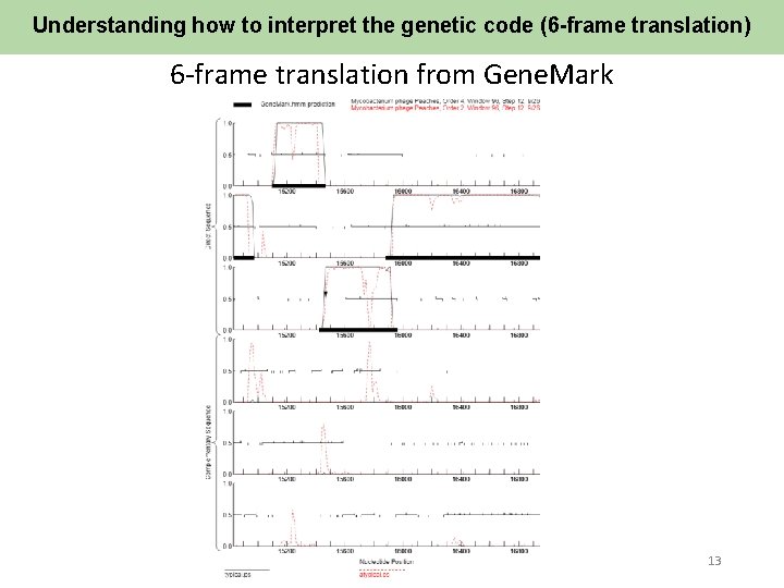 Understanding how to interpret the genetic code (6 -frame translation) 6 -frame translation from