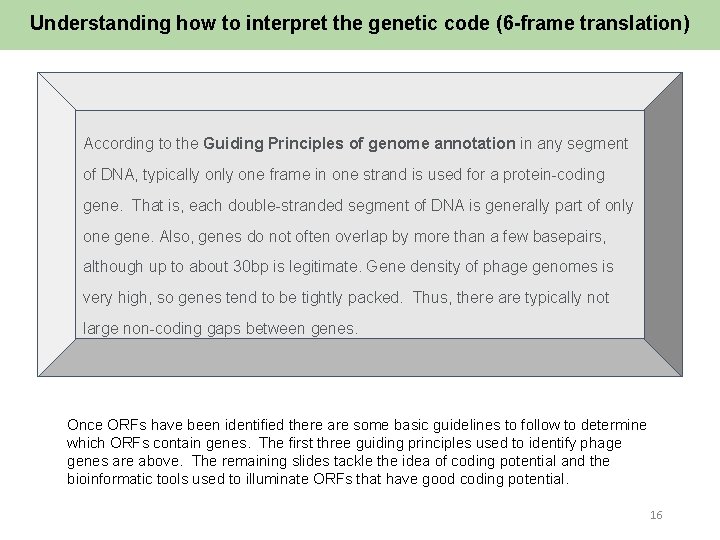 Understanding how to interpret the genetic code (6 -frame translation) According to the Guiding