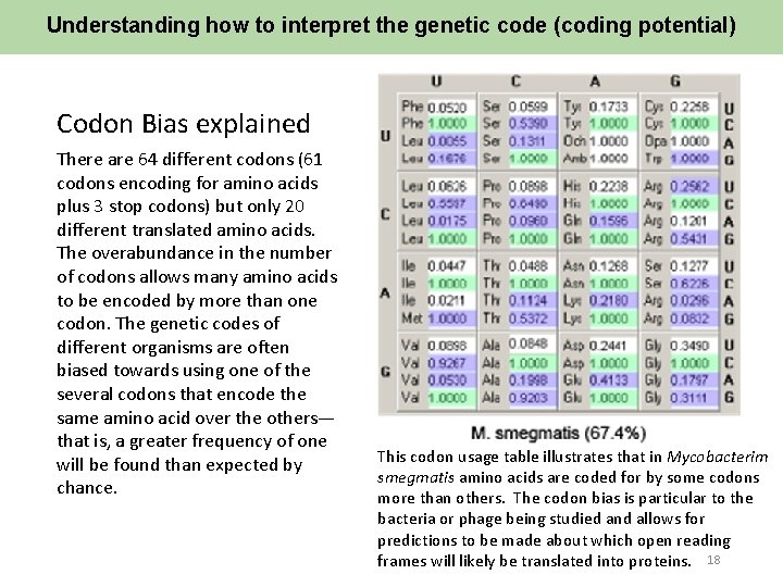 Understanding how to interpret the genetic code (coding potential) Codon Bias explained There are