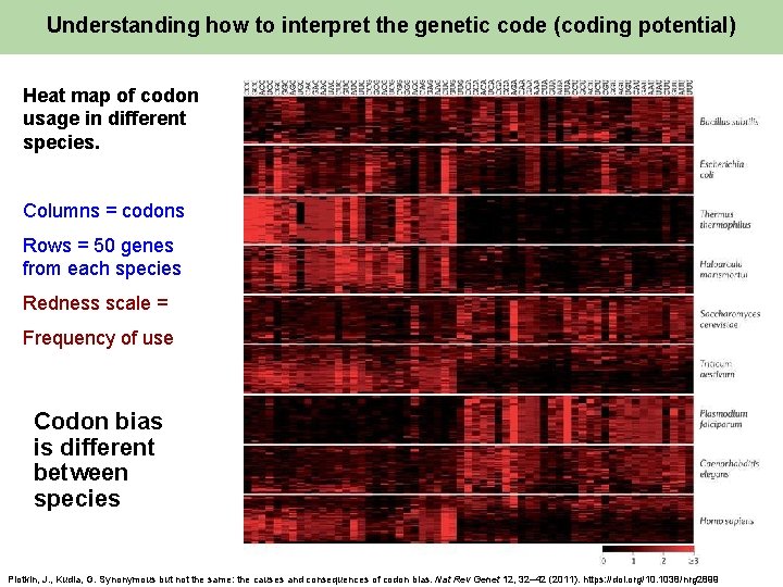 Understanding how to interpret the genetic code (coding potential) Heat map of codon usage