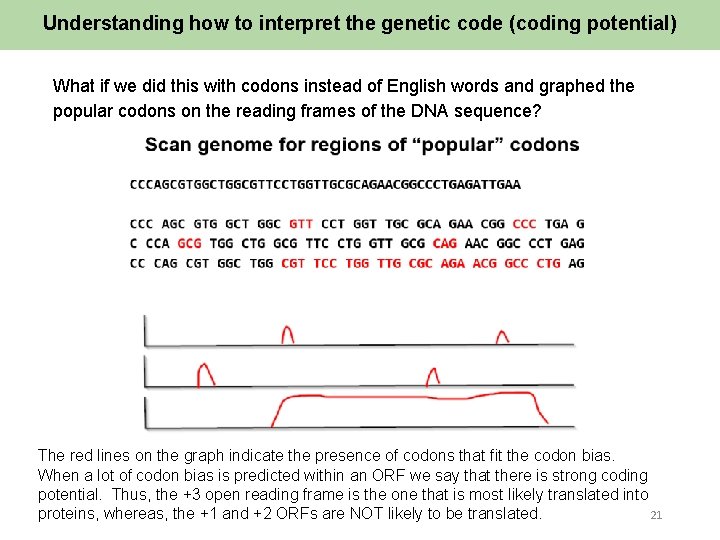Understanding how to interpret the genetic code (coding potential) What if we did this
