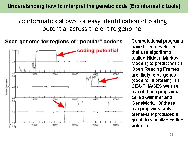 Understanding how to interpret the genetic code (Bioinformatic tools) Bioinformatics allows for easy identification