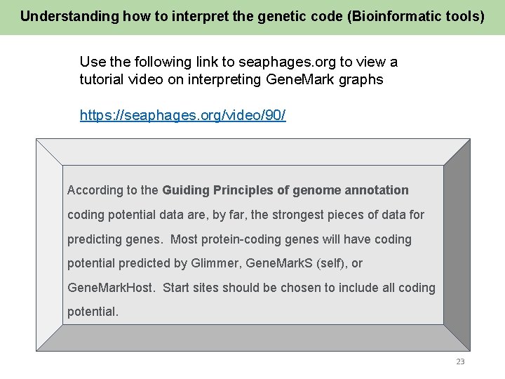 Understanding how to interpret the genetic code (Bioinformatic tools) Use the following link to