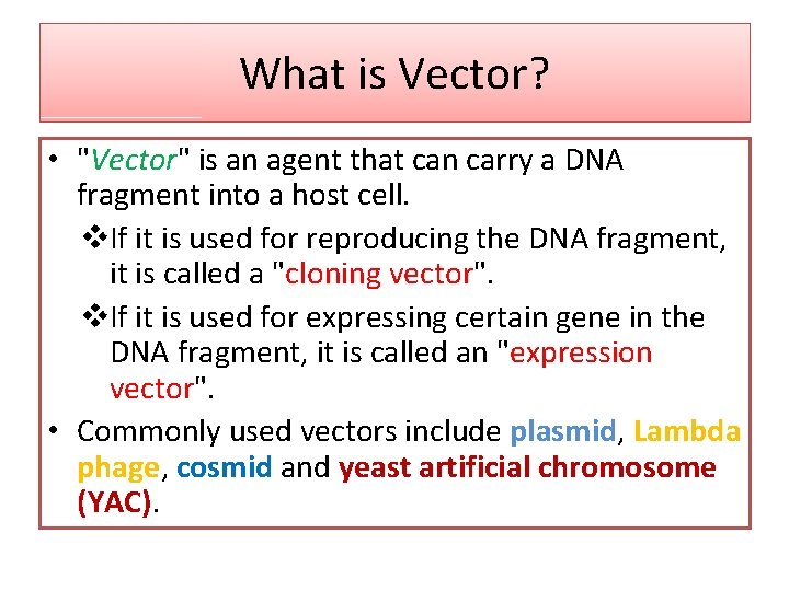 What is Vector? • "Vector" is an agent that can carry a DNA fragment