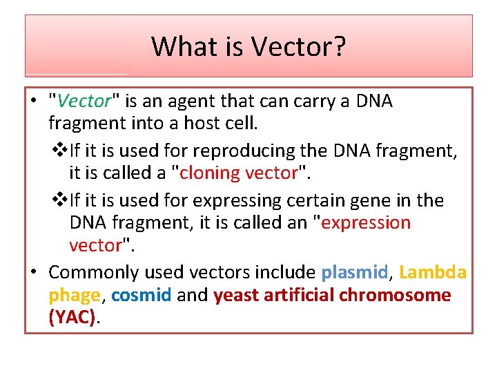 What is Vector? • "Vector" is an agent that can carry a DNA fragment What is Vector? • "Vector" is an agent that can carry a DNA fragment