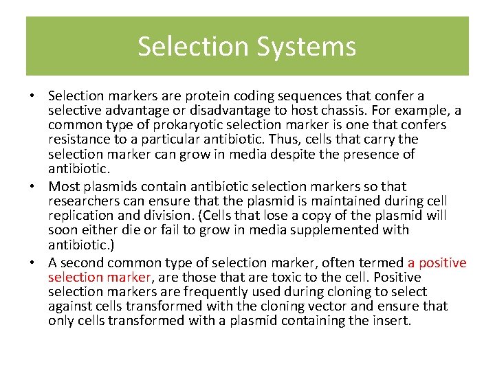 Selection Systems • Selection markers are protein coding sequences that confer a selective advantage