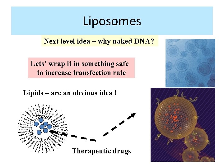 Liposomes Next level idea – why naked DNA? Lets’ wrap it in something safe