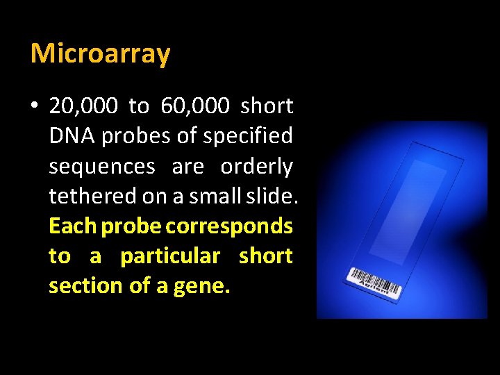 Microarray • 20, 000 to 60, 000 short DNA probes of specified sequences are