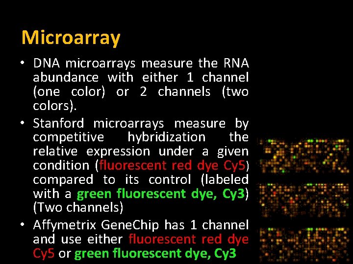 Microarray • DNA microarrays measure the RNA abundance with either 1 channel (one color)