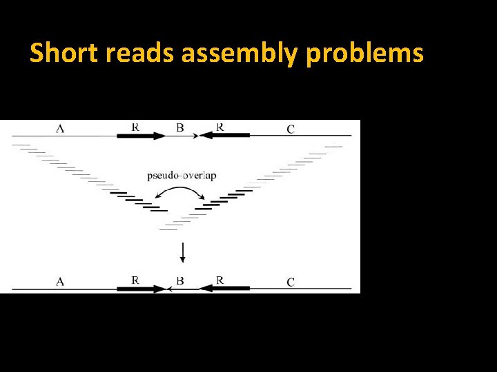 Short reads assembly problems 