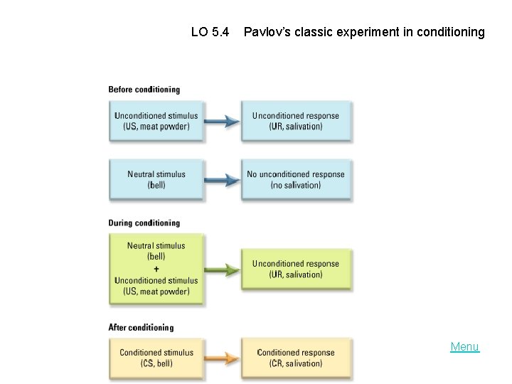 LO 5. 4 Pavlov’s classic experiment in conditioning Menu 