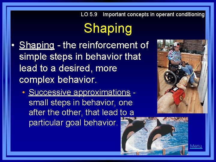 LO 5. 9 Important concepts in operant conditioning Shaping • Shaping - the reinforcement