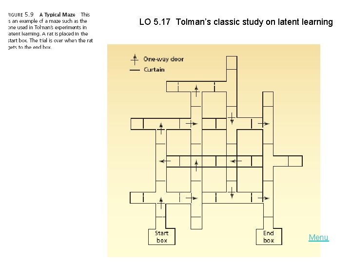 LO 5. 17 Tolman’s classic study on latent learning Menu 