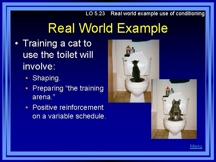 LO 5. 23 Real world example use of conditioning Real World Example • Training