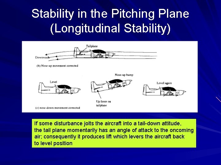 Stability in the Pitching Plane (Longitudinal Stability) If some disturbance jolts the aircraft into