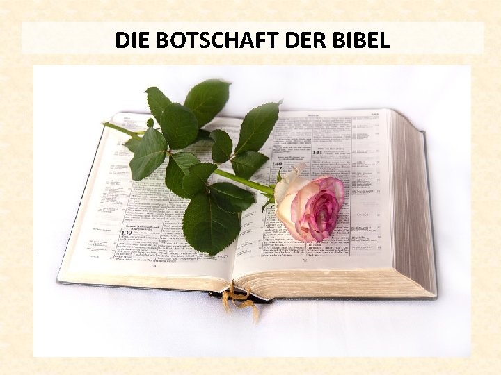 DIE BOTSCHAFT DER BIBEL 