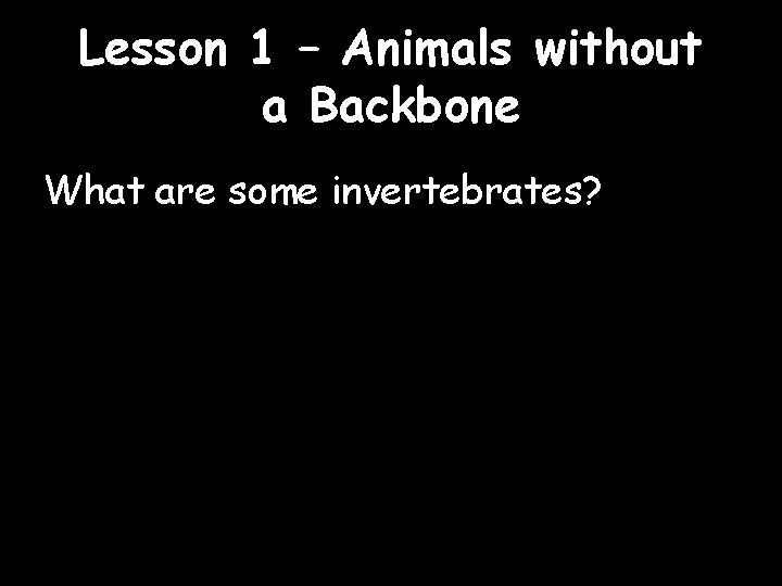 Lesson 1 – Animals without a Backbone What are some invertebrates? 