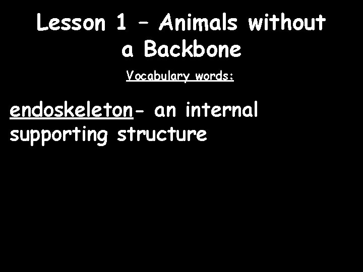 Lesson 1 – Animals without a Backbone Vocabulary words: endoskeleton- an internal supporting structure